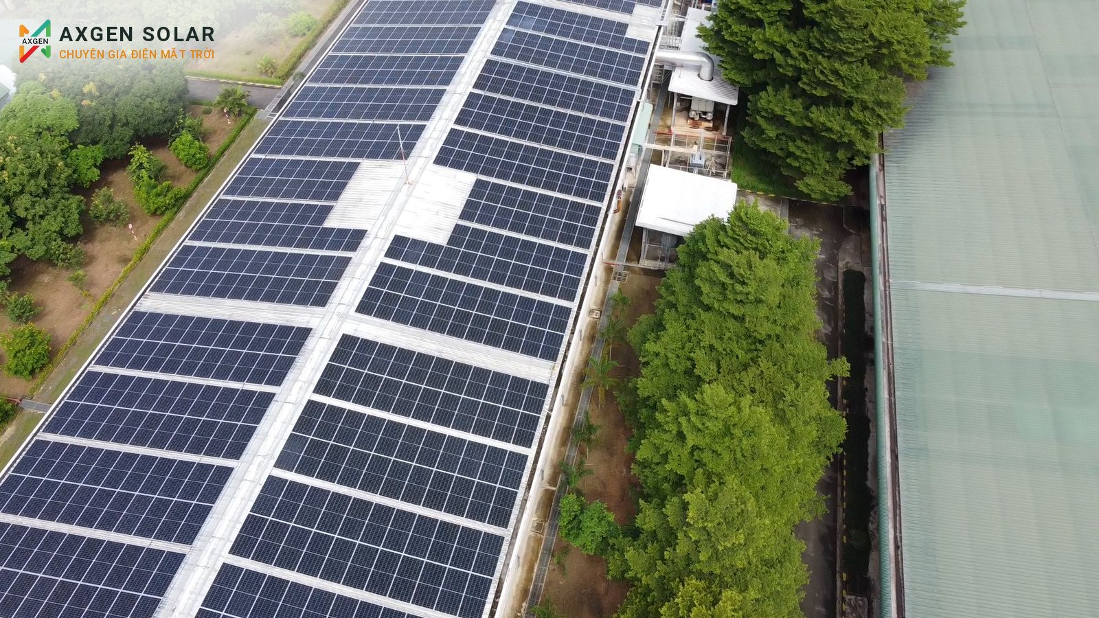 Nhà máy ấp trứng 3 – C.P. Việt Nam, Trảng Bom – 429,55 kWp – 07/09/2024: Các dãy pin chừa lối đi kỹ thuật ở giữa.