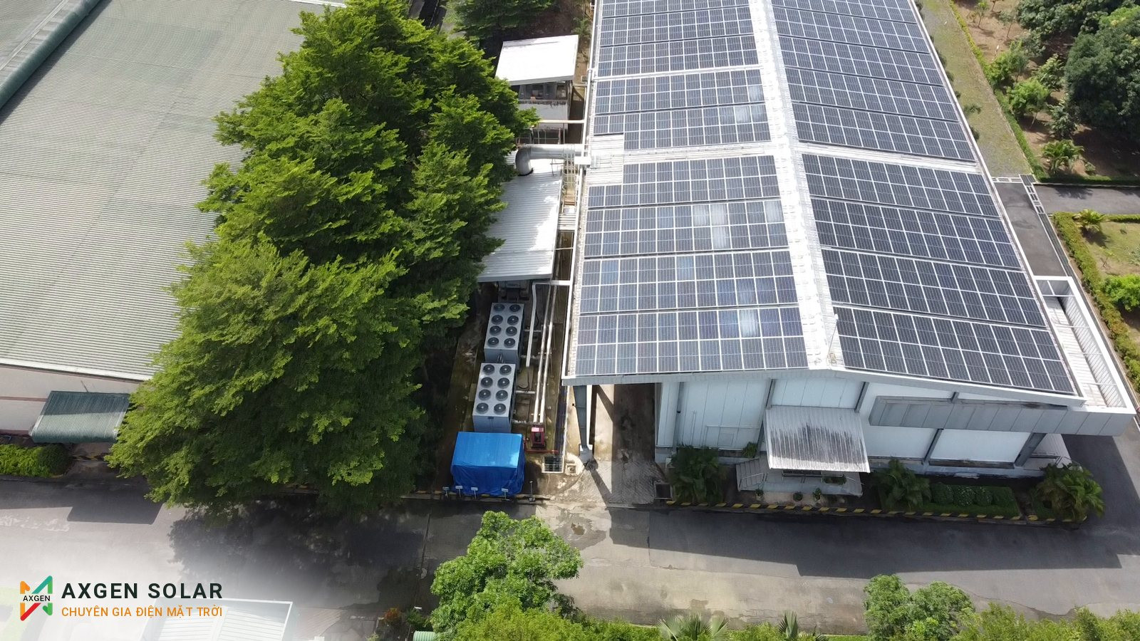 Nhà máy ấp trứng 3 – C.P. Việt Nam, Trảng Bom – 429,55 kWp – 07/09/2024: Góc mái phía khu phụ trợ.