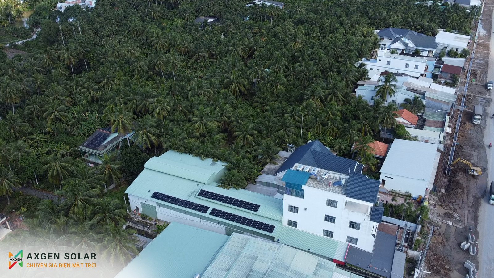 Công ty Rau củ quả Phương Đông, Tiền Giang – 16,02 kWp – 31/10/2024: Toàn cảnh khu nhà giữa vườn dừa.